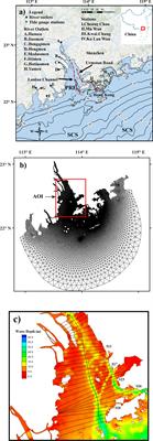 Generation of macro-vortices in estuarine compound channels